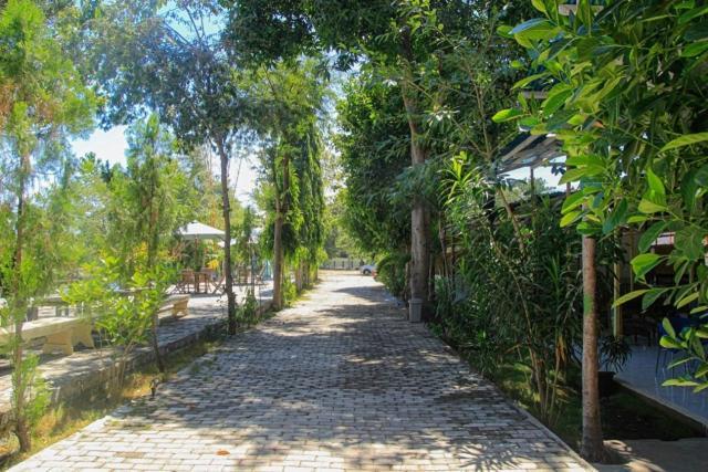 Pondok Wisata Dan Restoran Elim Waingapu Exteriér fotografie